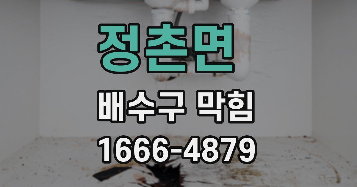 정촌면 배수구 막힘