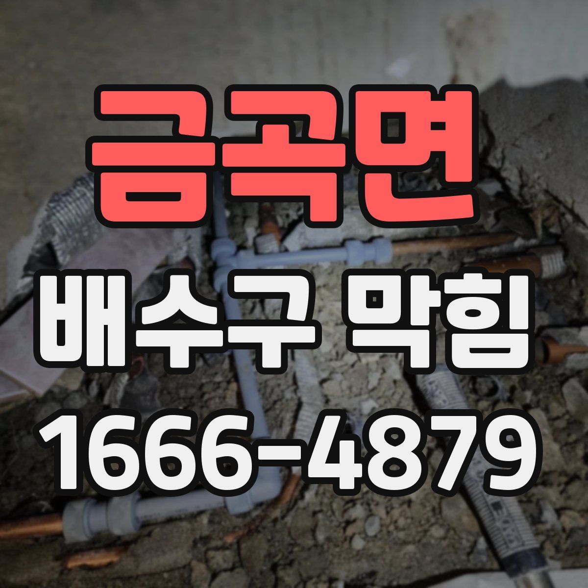 금곡면 배수구 막힘