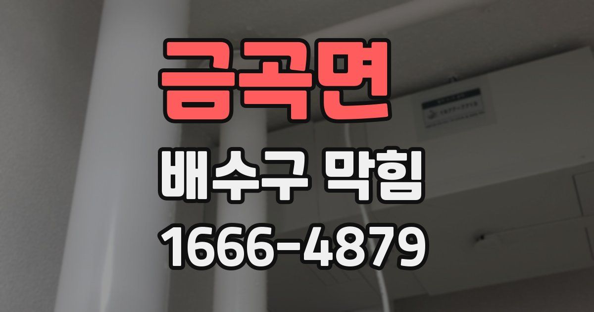 금곡면 배수구 막힘
