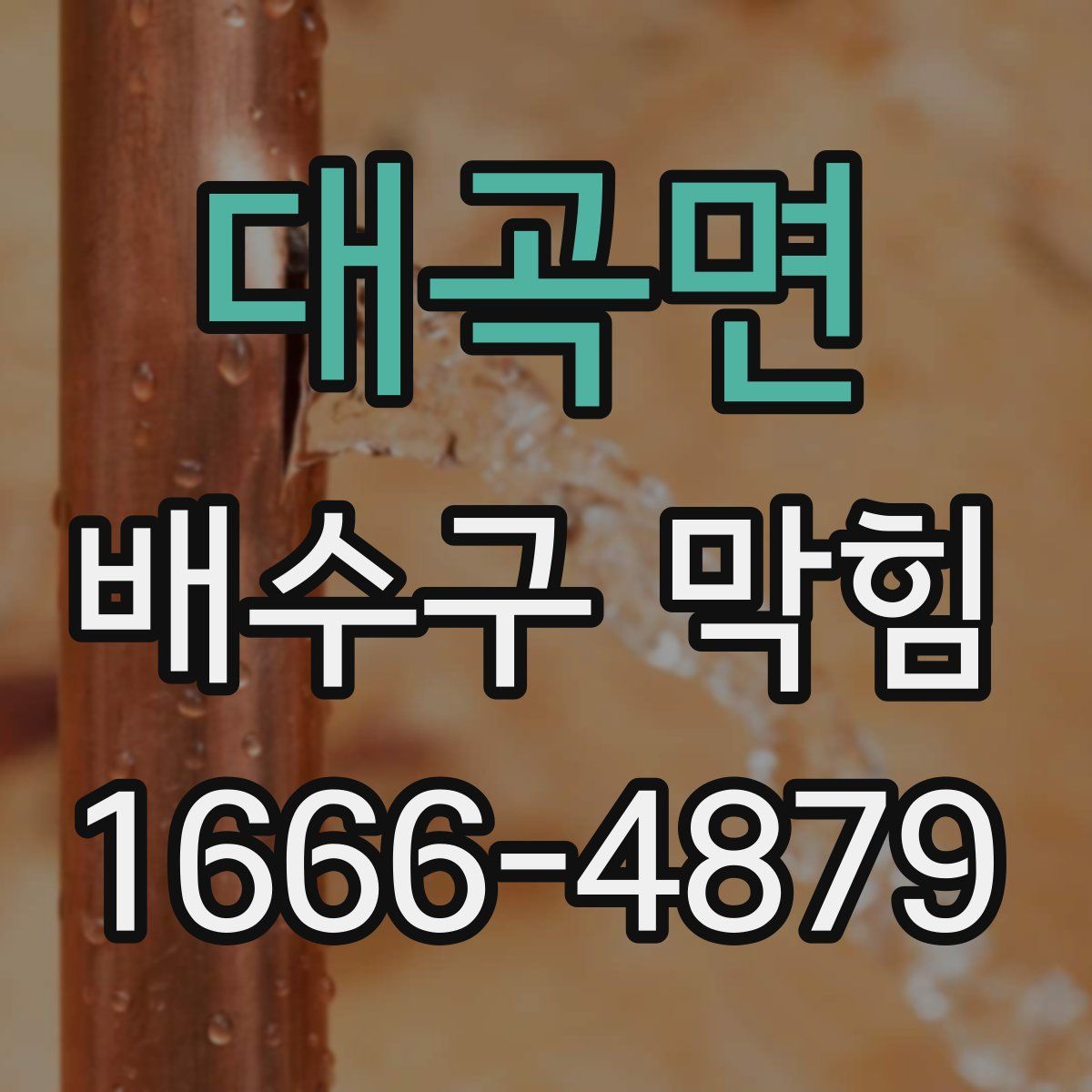 대곡면 배수구 막힘