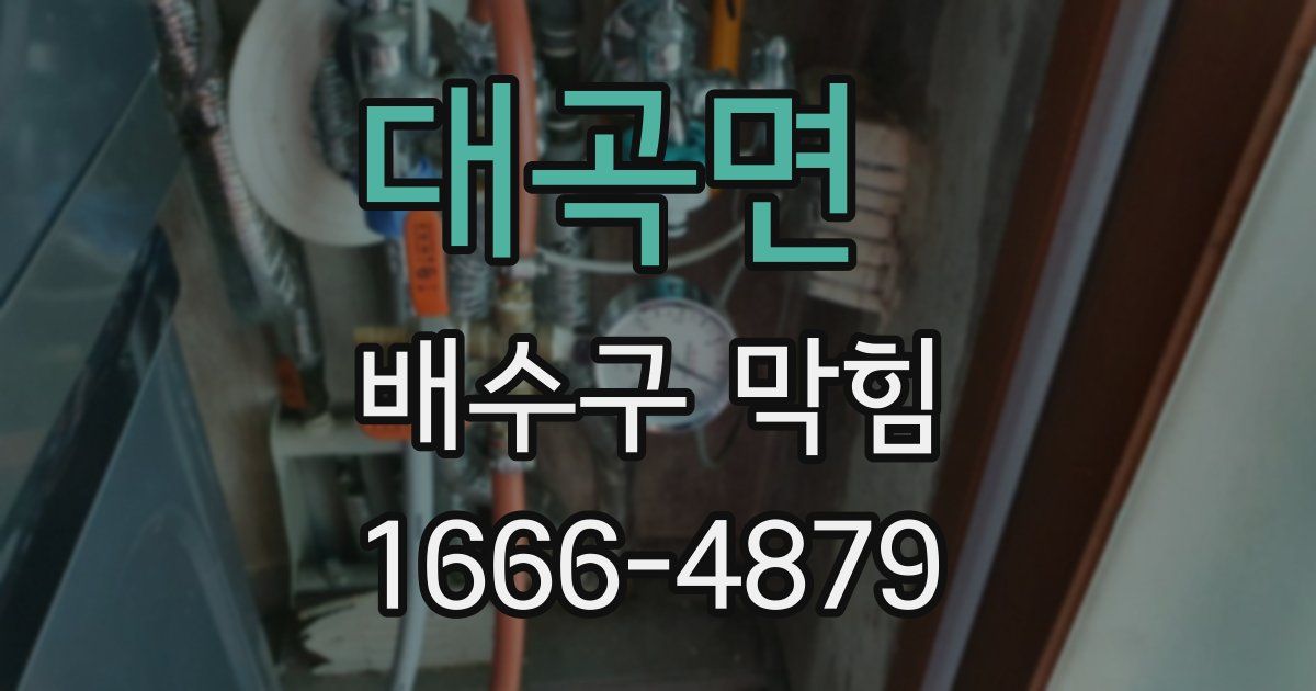 대곡면 배수구 막힘