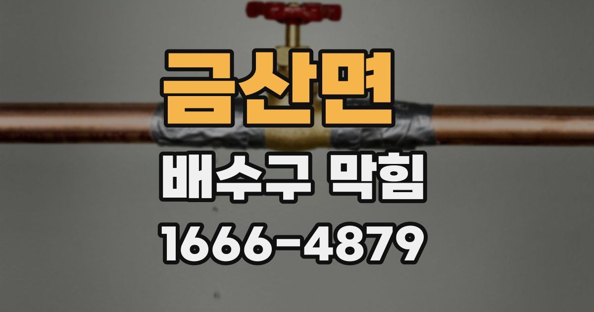 금산면 배수구 막힘