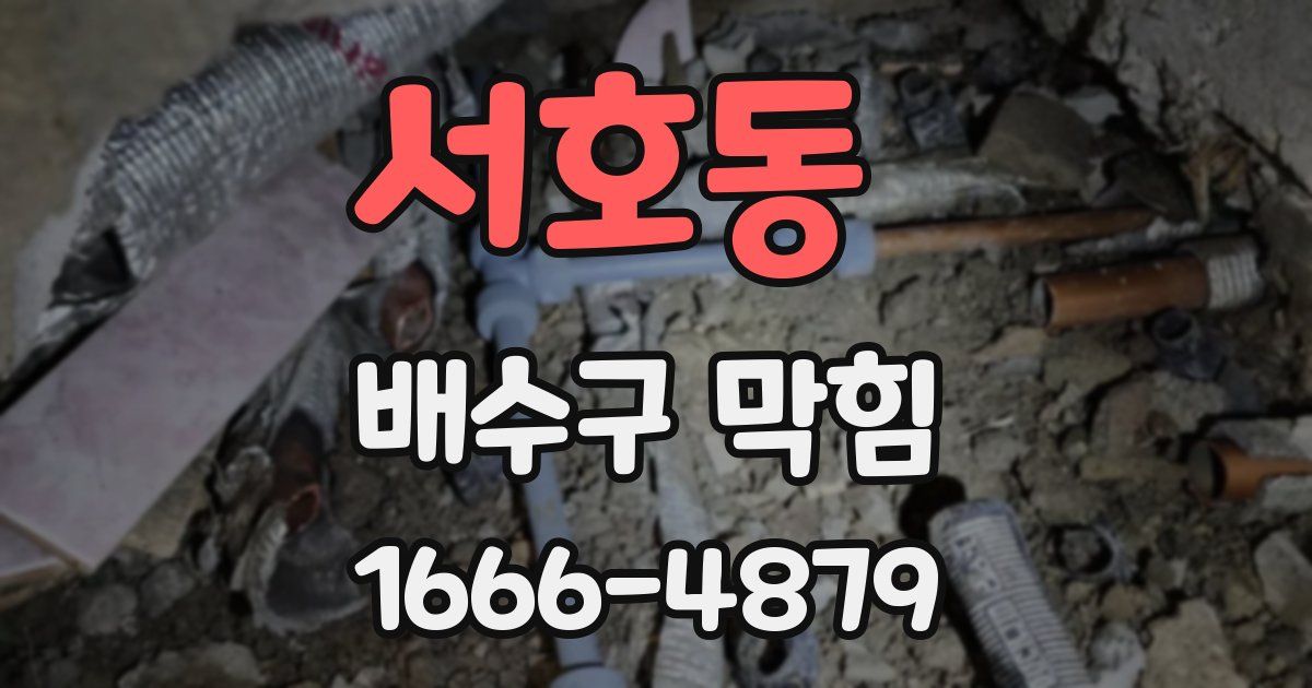 서호동 배수구 막힘