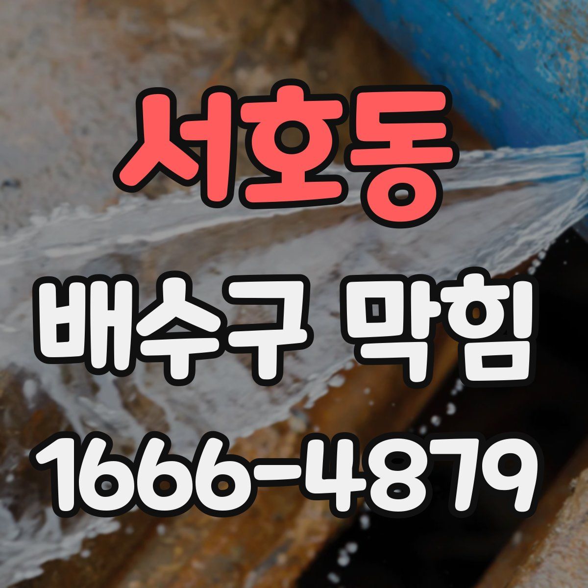 서호동 배수구 막힘