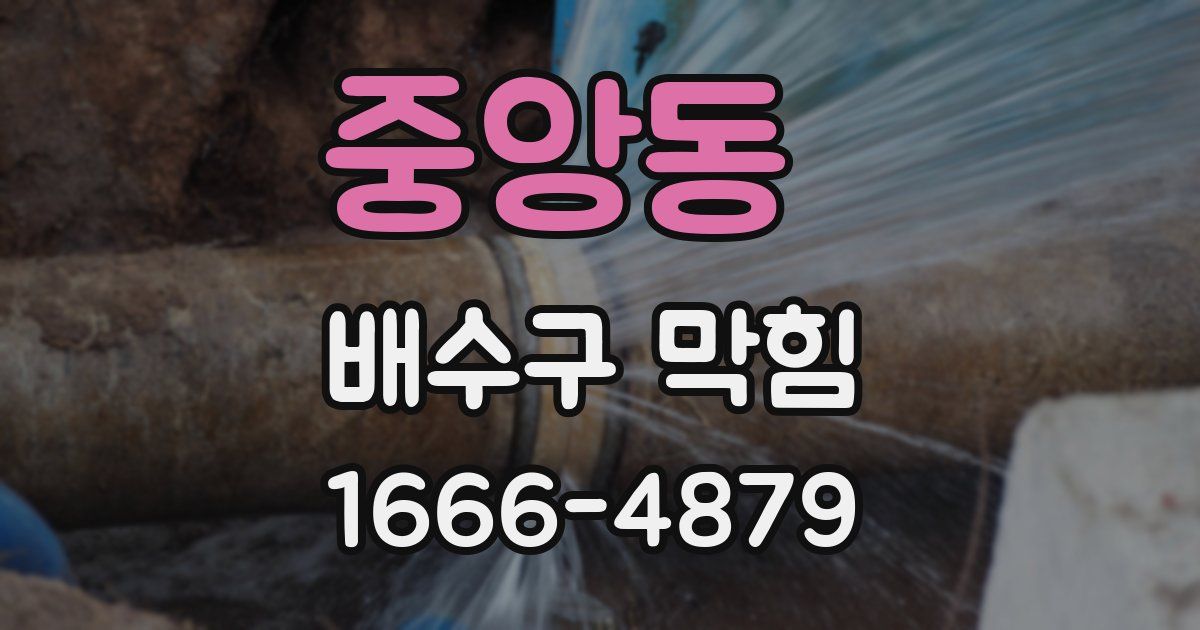 중앙동 배수구 막힘