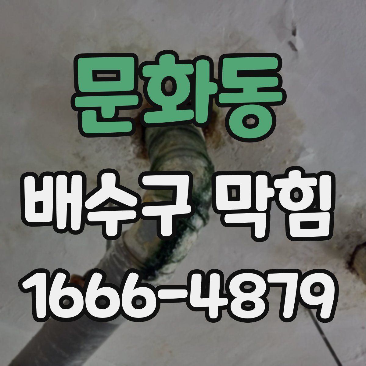 문화동 배수구 막힘