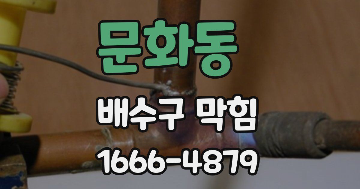 문화동 배수구 막힘