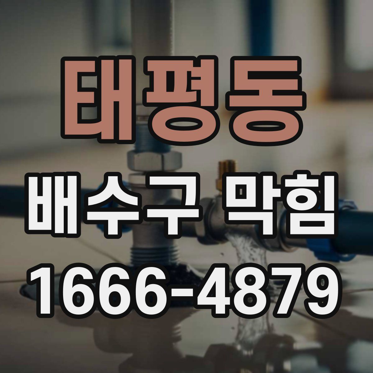 태평동 배수구 막힘