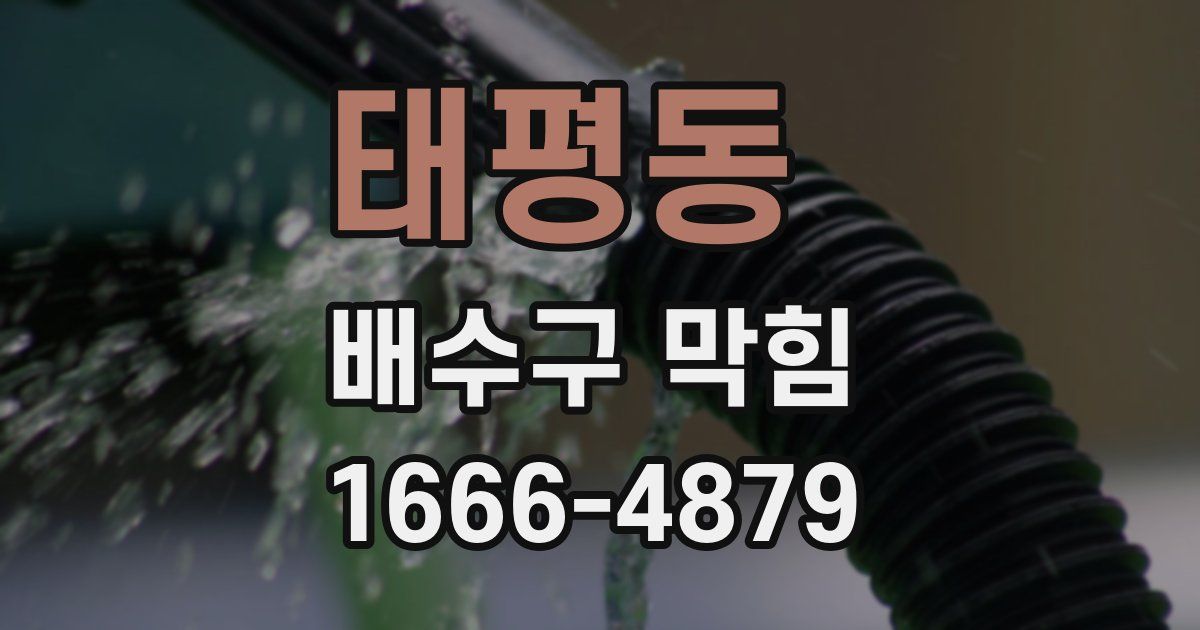 태평동 배수구 막힘