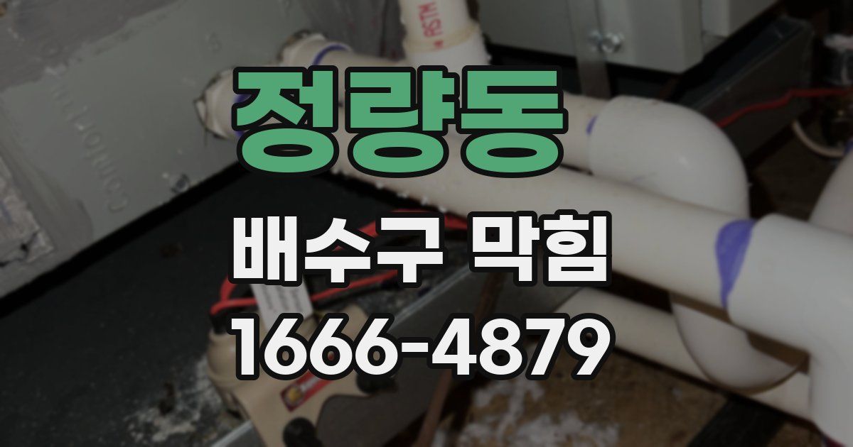 정량동 배수구 막힘