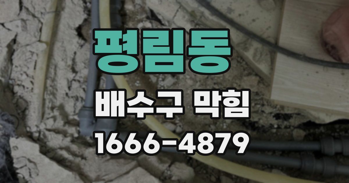 평림동 배수구 막힘
