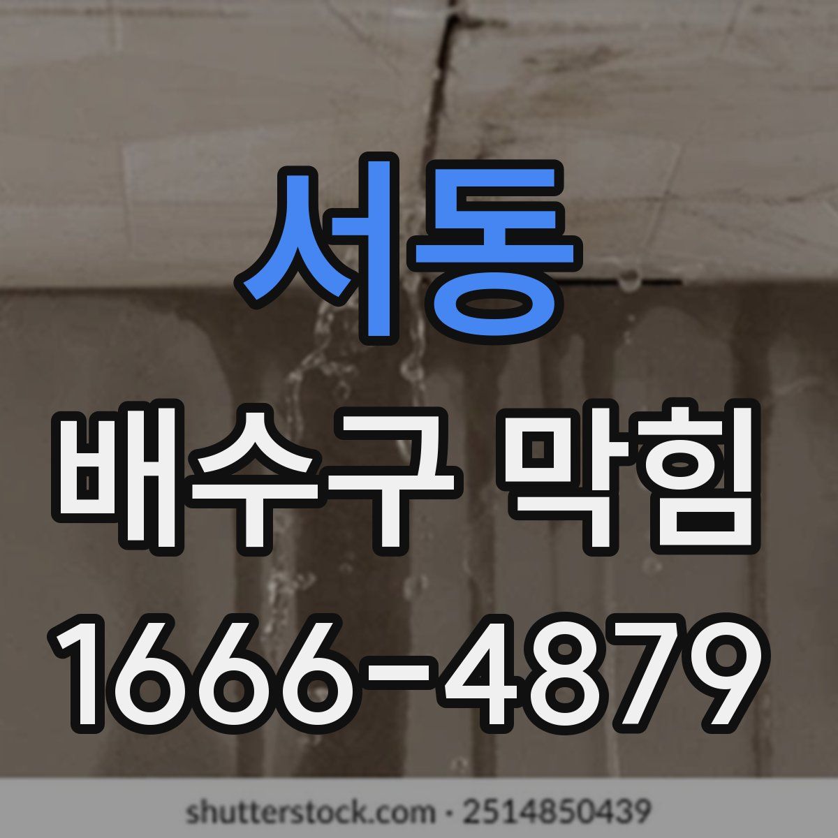 서동 배수구 막힘