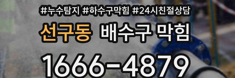 선구동 배수구 막힘