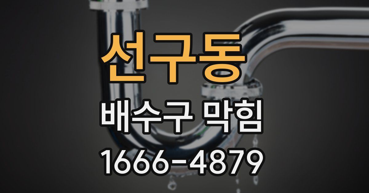선구동 배수구 막힘
