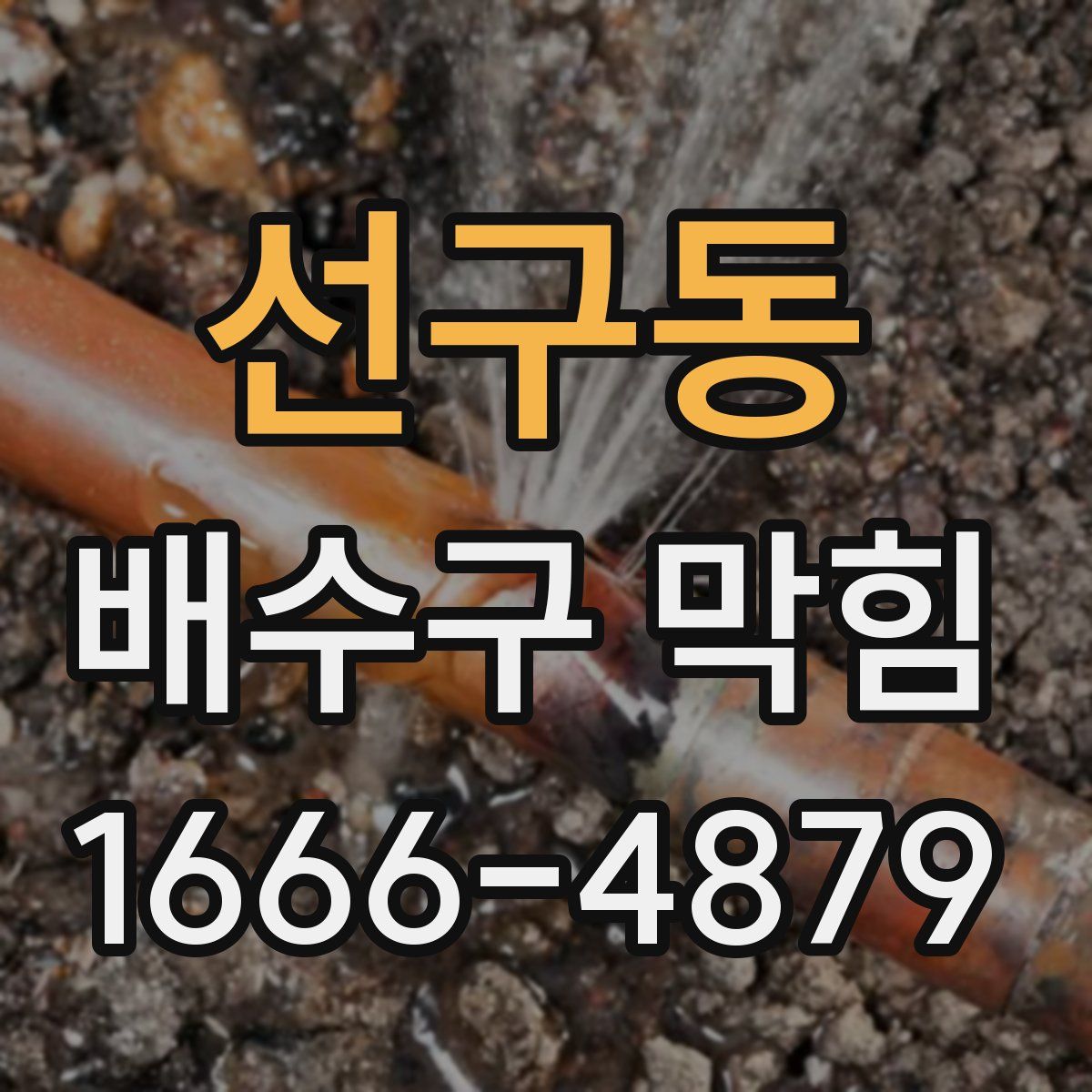 선구동 배수구 막힘