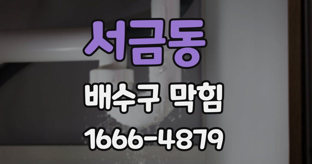 서금동 배수구 막힘