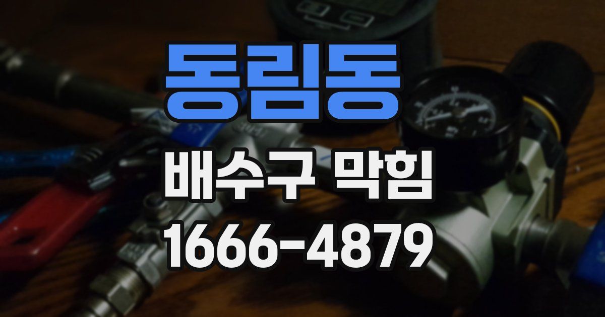 동림동 배수구 막힘