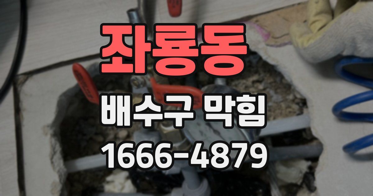 좌룡동 배수구 막힘