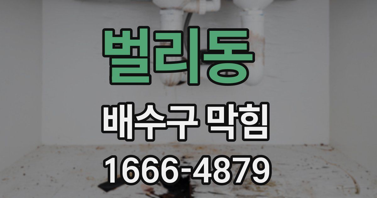 벌리동 배수구 막힘