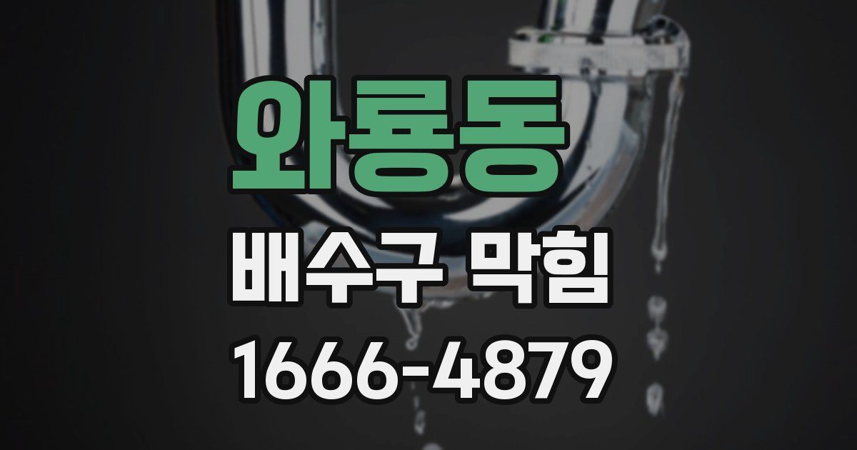와룡동 배수구 막힘