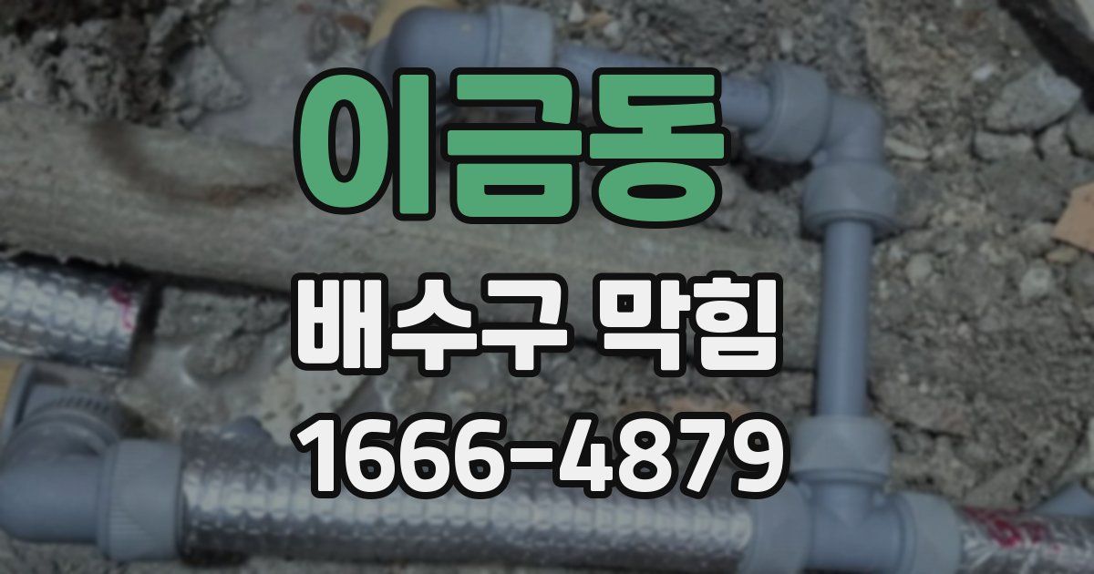 이금동 배수구 막힘