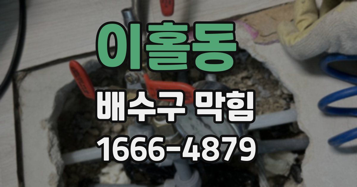이홀동 배수구 막힘