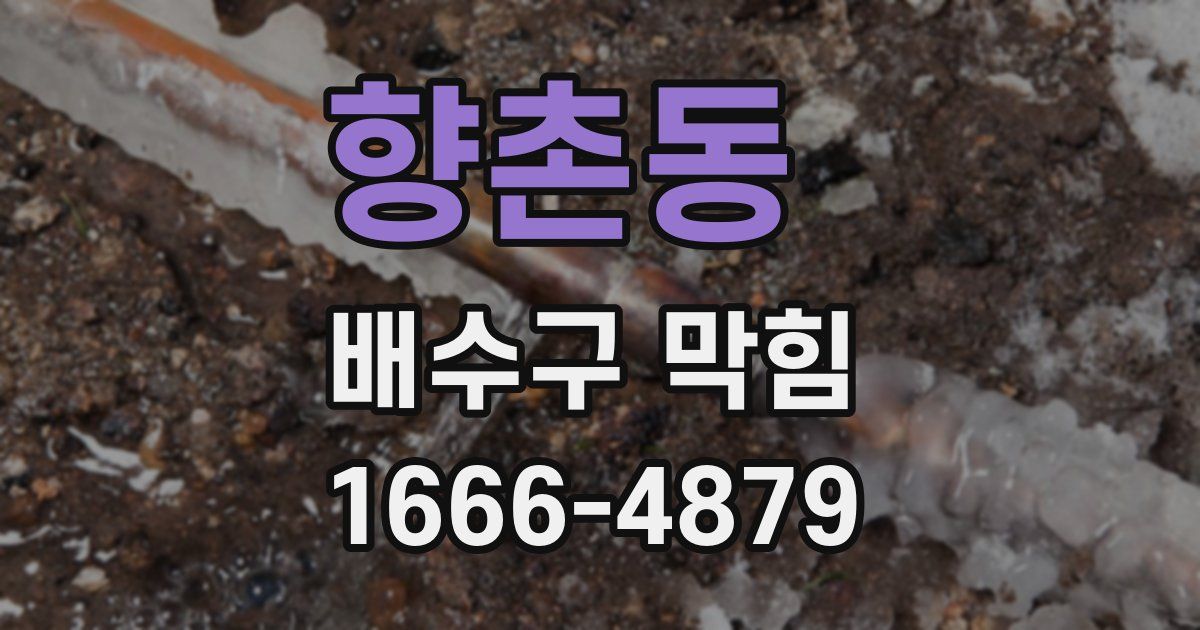 향촌동 배수구 막힘