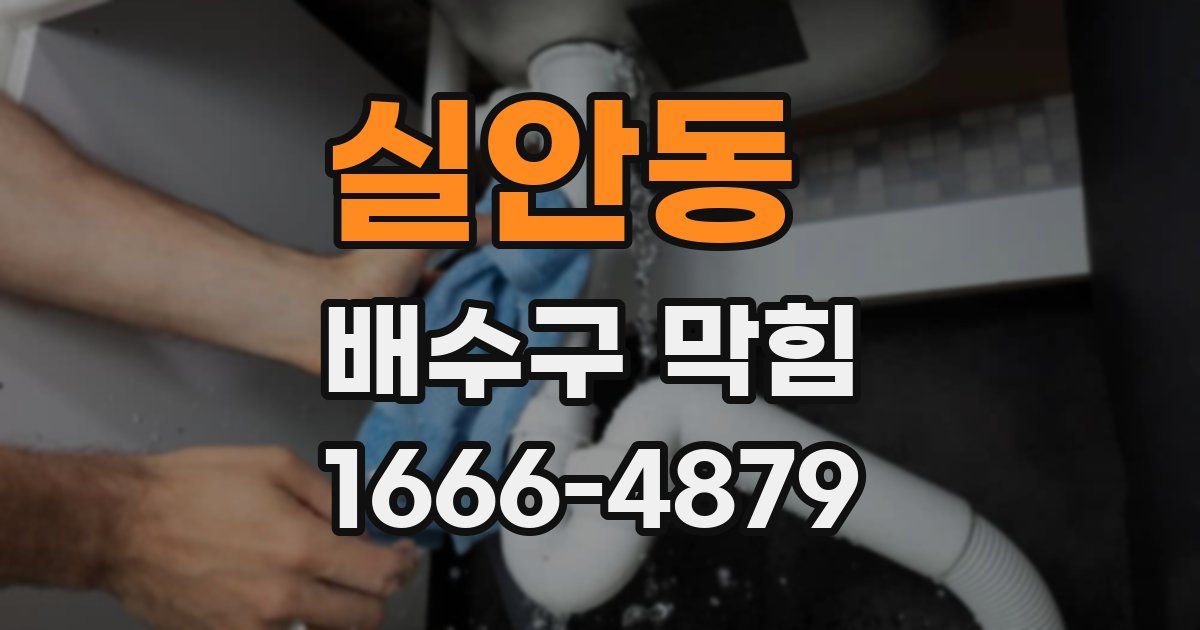 실안동 배수구 막힘