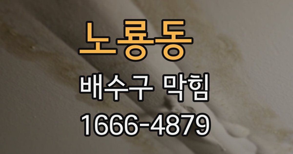 노룡동 배수구 막힘