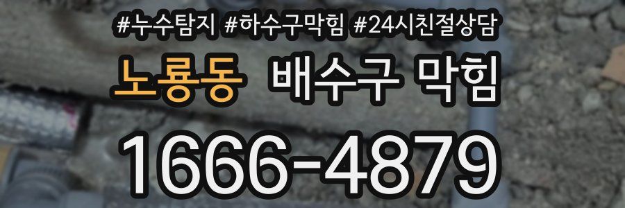 노룡동 배수구 막힘