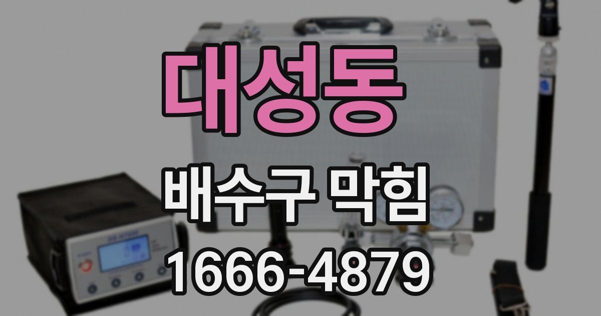 대성동 배수구 막힘