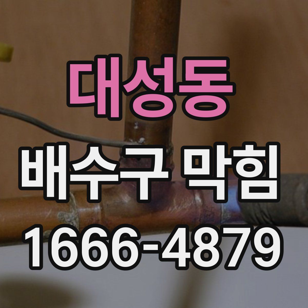 대성동 배수구 막힘