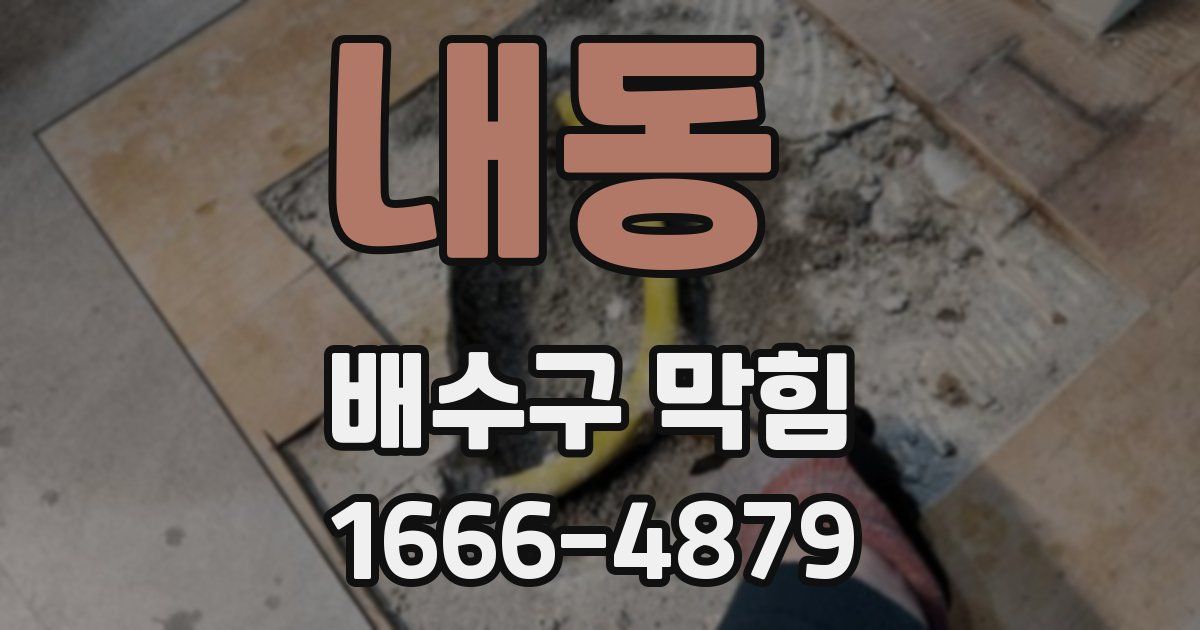 내동 배수구 막힘