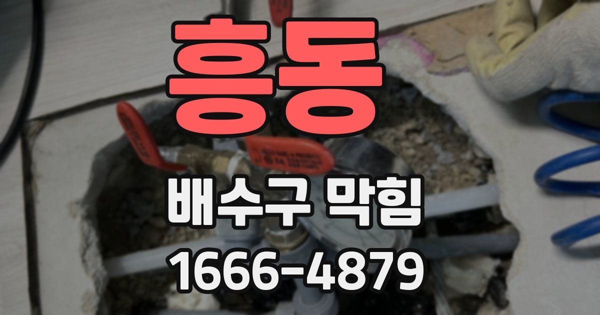 흥동 배수구 막힘