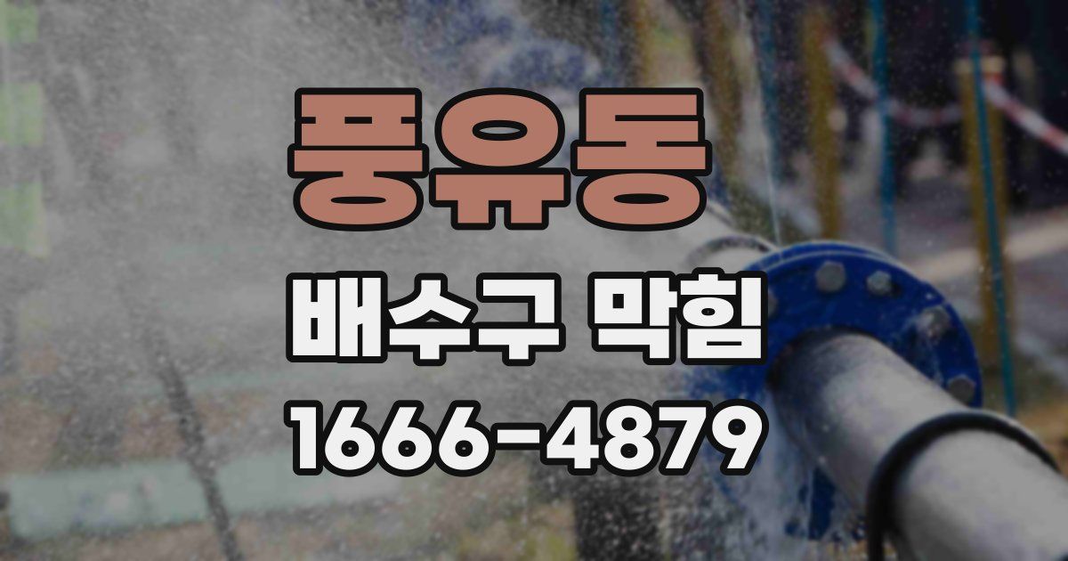 풍유동 배수구 막힘
