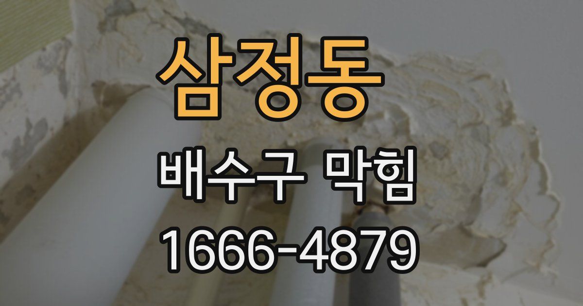 삼정동 배수구 막힘