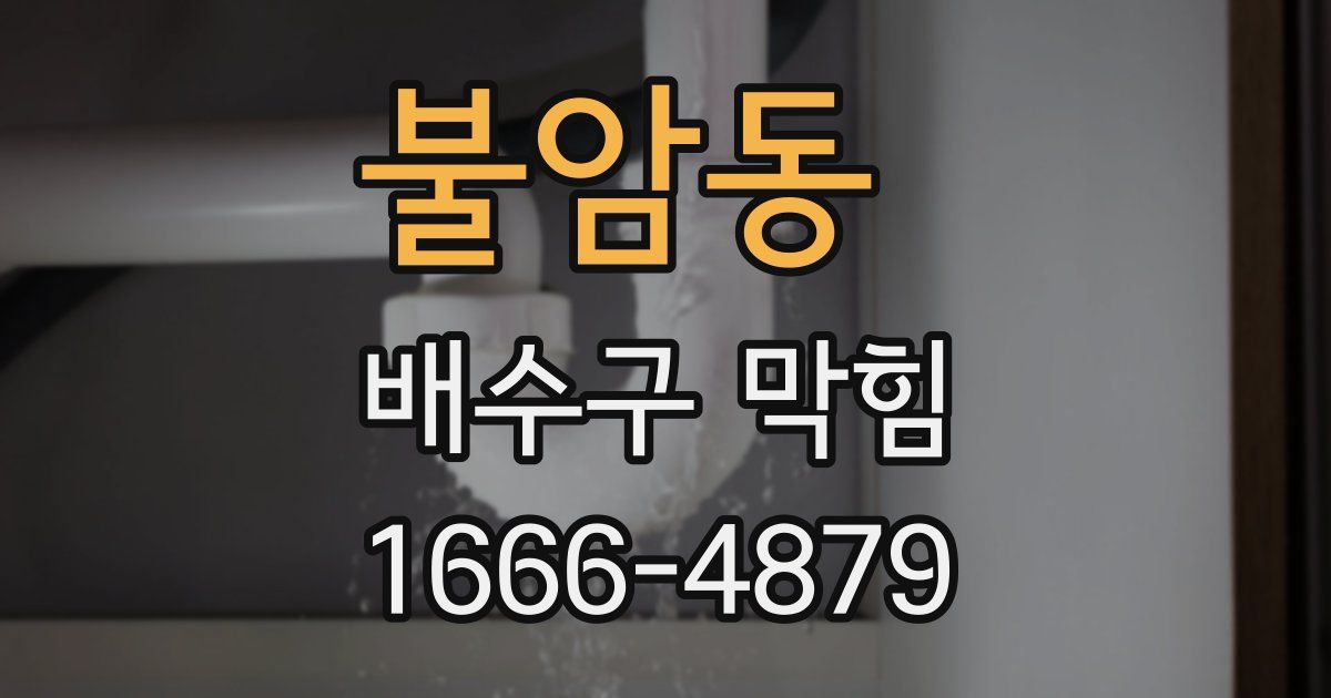 불암동 배수구 막힘