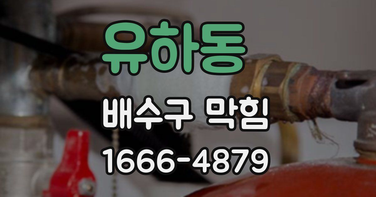 유하동 배수구 막힘