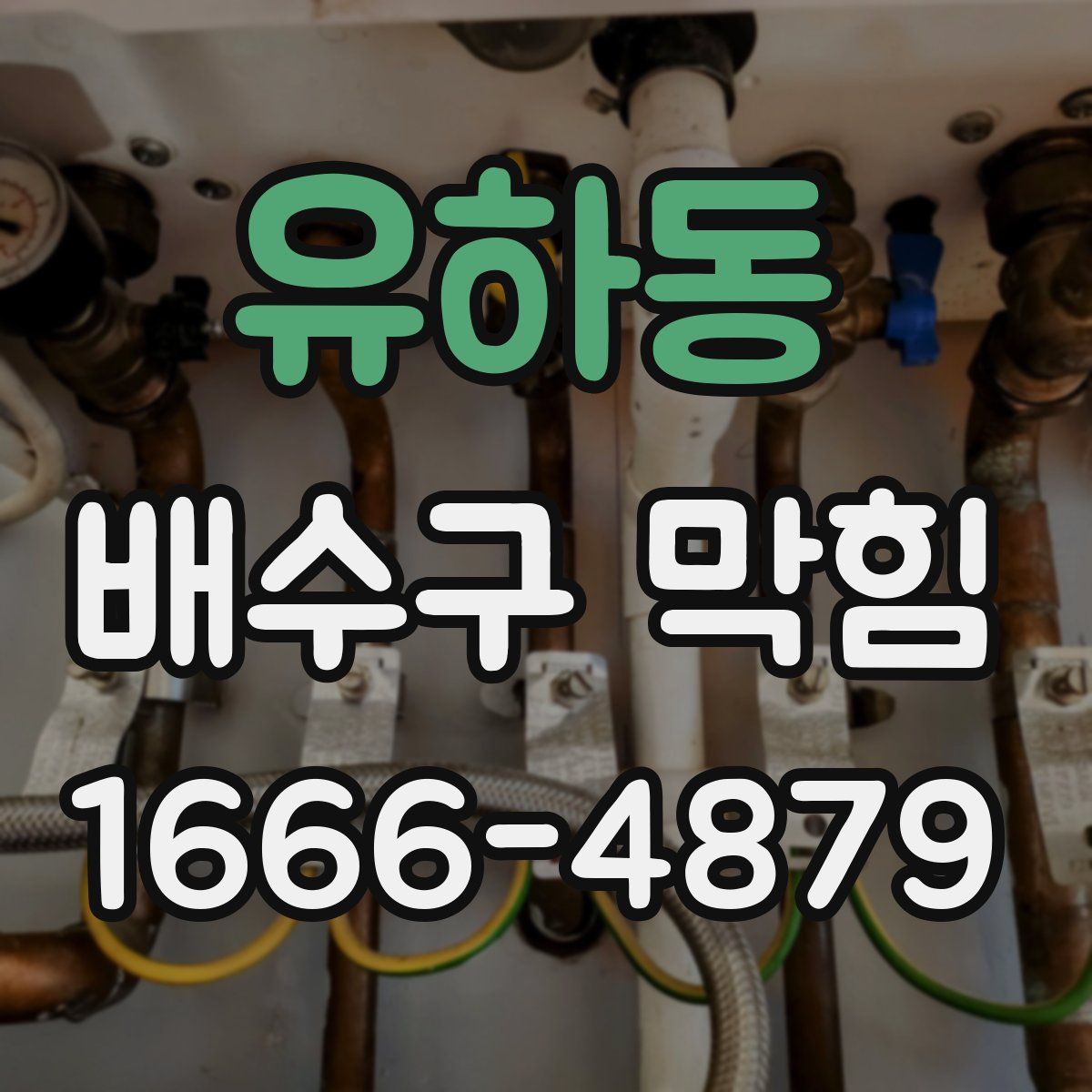 유하동 배수구 막힘