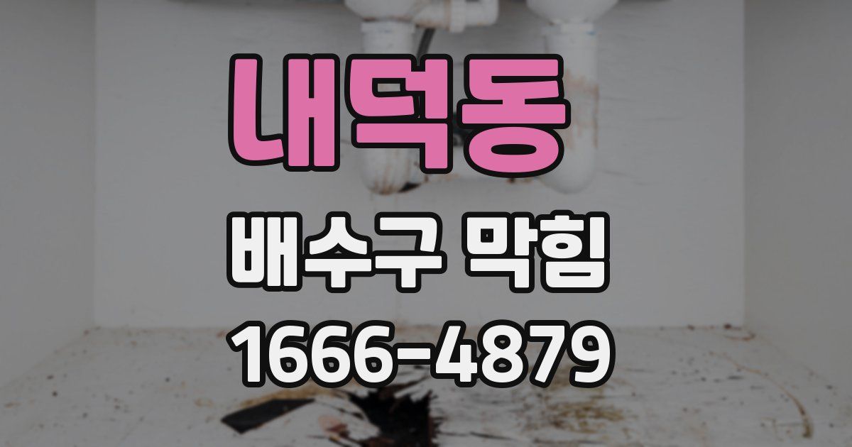 내덕동 배수구 막힘