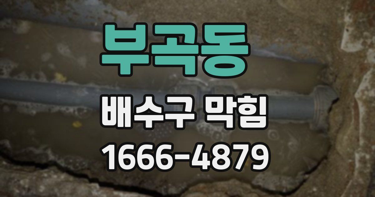 부곡동 배수구 막힘