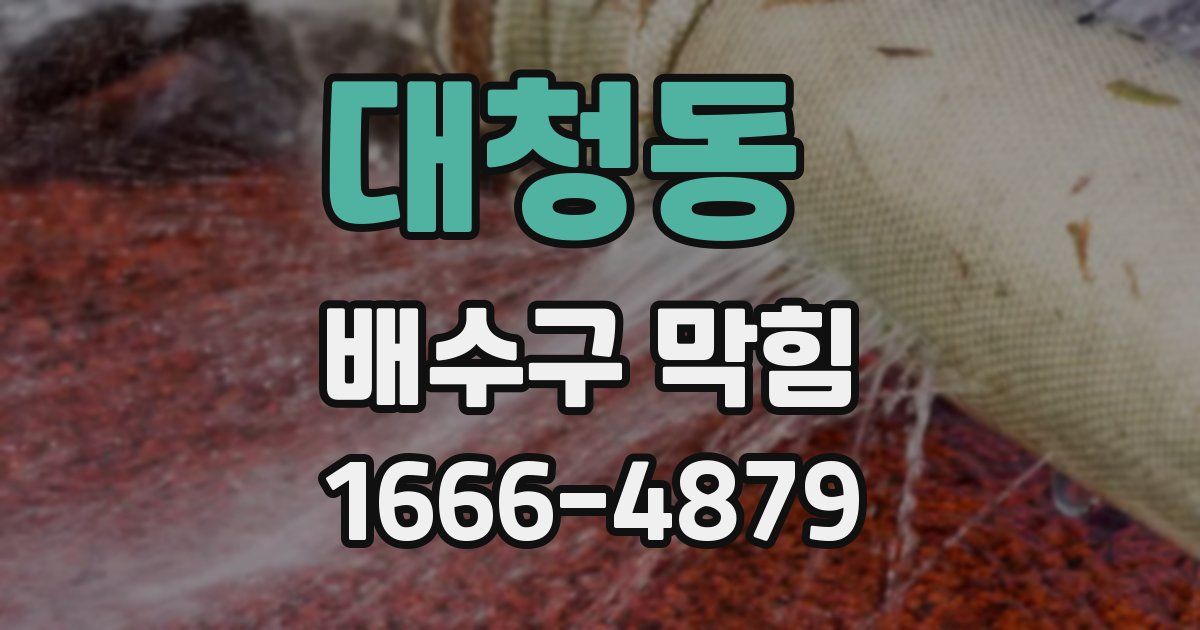 대청동 배수구 막힘
