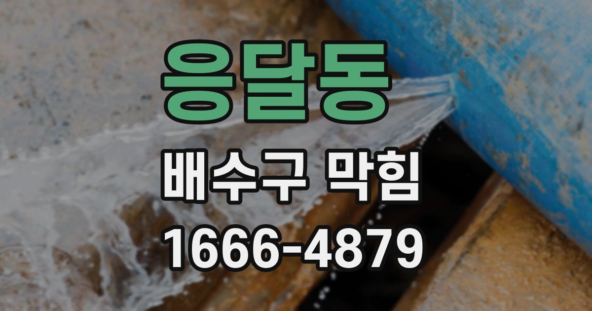 응달동 배수구 막힘