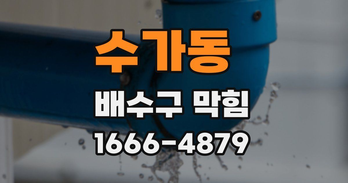수가동 배수구 막힘
