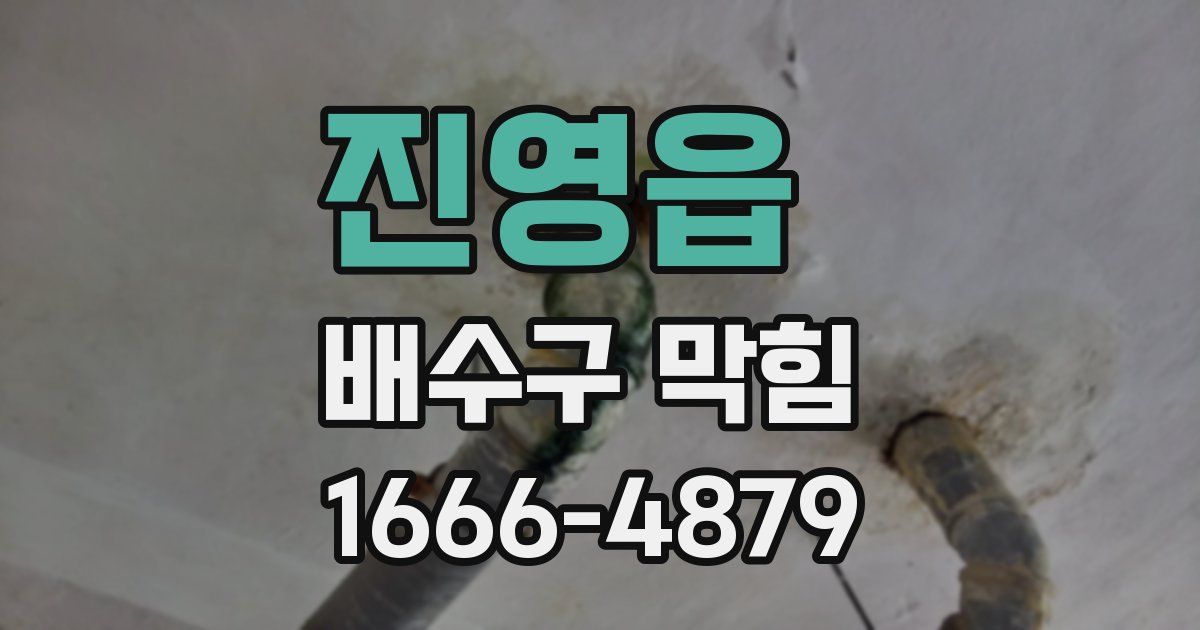 진영읍 배수구 막힘