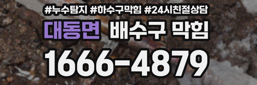 대동면 배수구 막힘