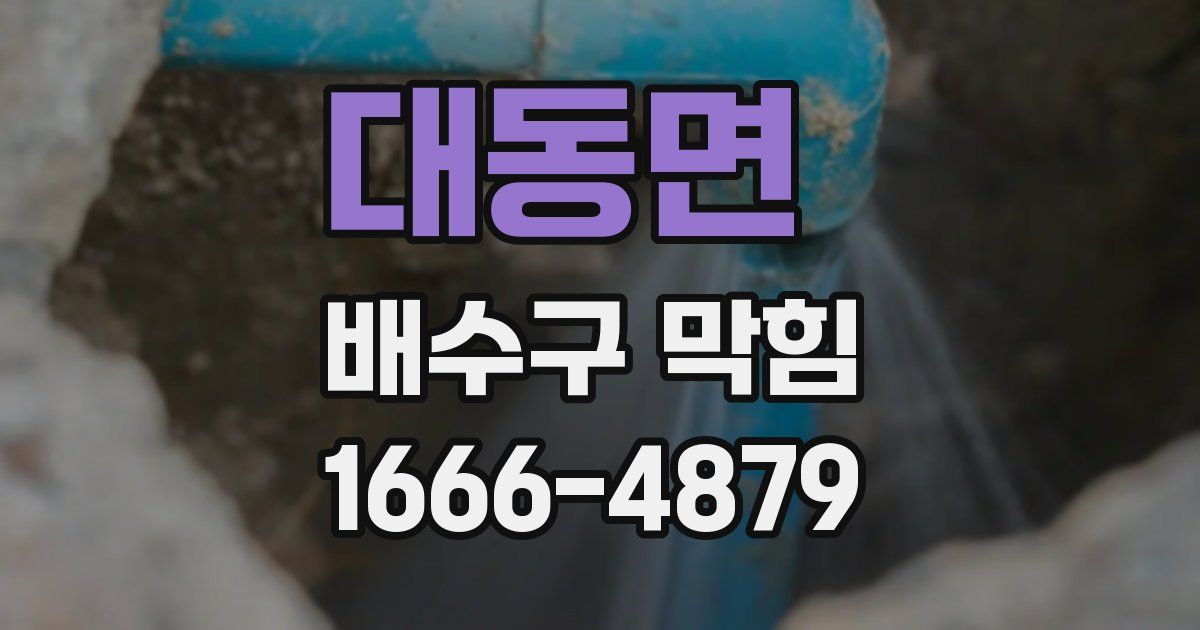 대동면 배수구 막힘