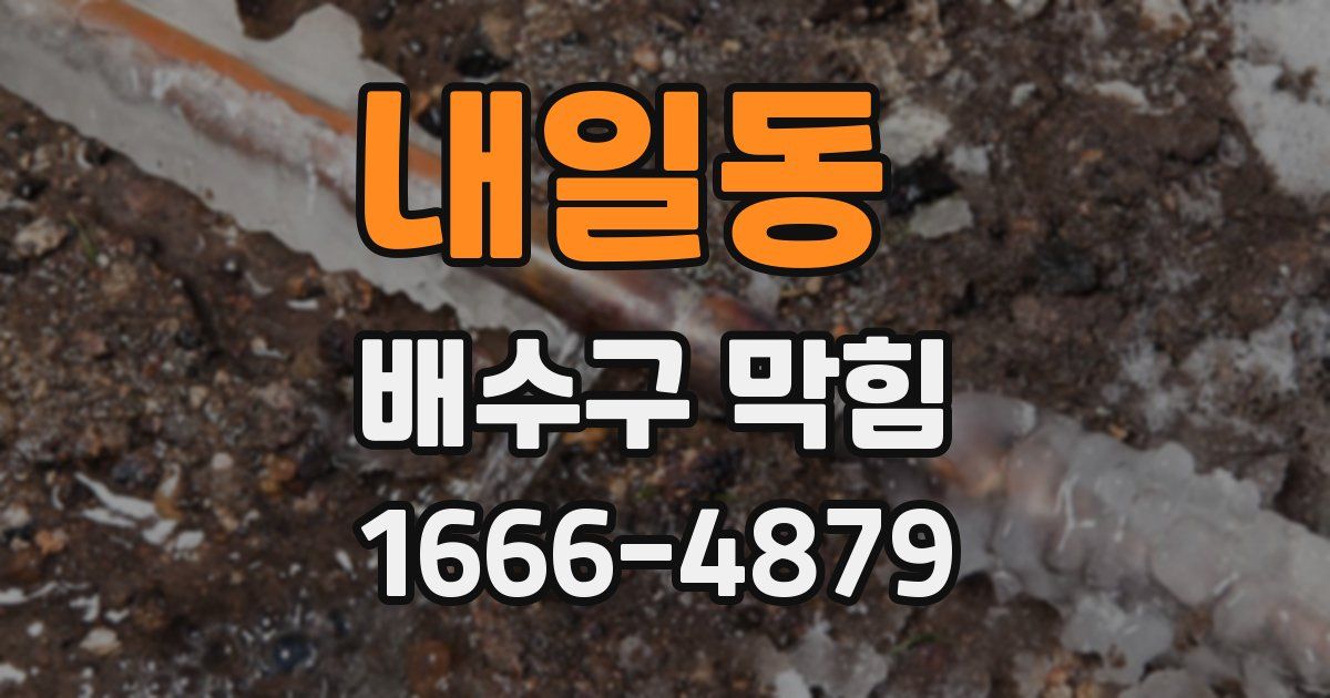 내일동 배수구 막힘