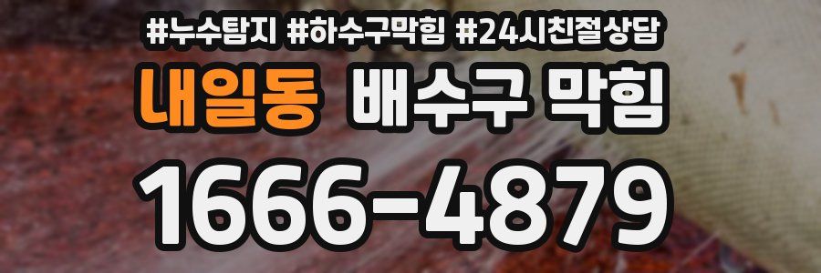 내일동 배수구 막힘