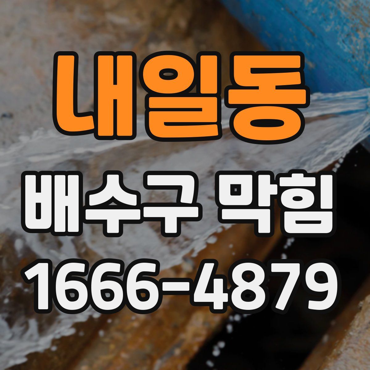 내일동 배수구 막힘